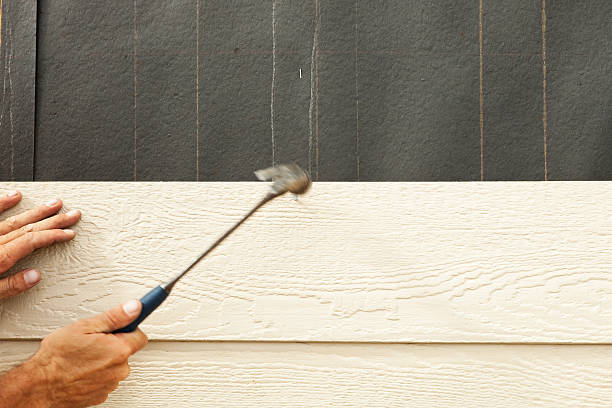 Affordable Siding Repair and Maintenance Services in South Miami Heights, FL